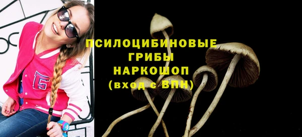 прущие грибы Беломорск