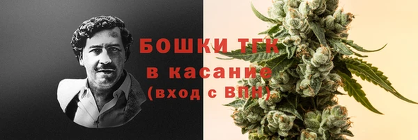прущие грибы Беломорск