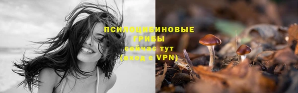 соль ск Белокуриха