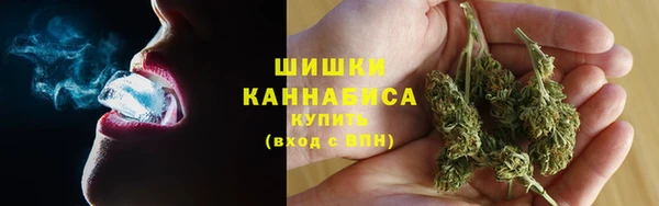 прущие грибы Беломорск