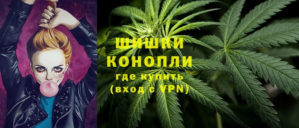 соль ск Белокуриха