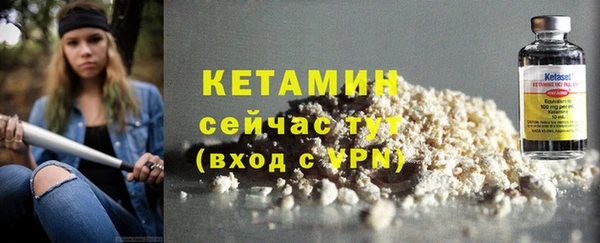 прущие грибы Беломорск