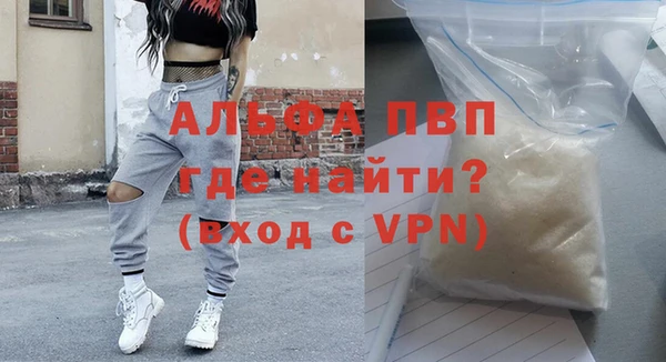 прущие грибы Беломорск