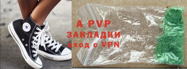 прущие грибы Беломорск