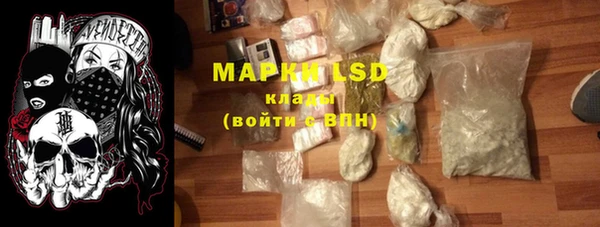 прущие грибы Беломорск