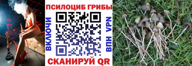 Галлюциногенные грибы Psilocybine cubensis  где купить наркоту  Саяногорск 