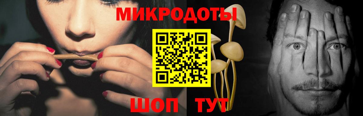 Псилоцибиновые грибы Psilocybe  Вход с VPN  Саяногорск 